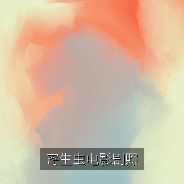 《寄生虫》电影剧照